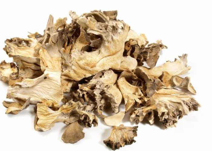 Discover the powerful health benefits of Maitake mushroom powder