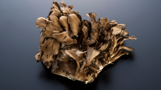 Maitake mushroom: nature's superfood, packed with nutrients for a healthier you