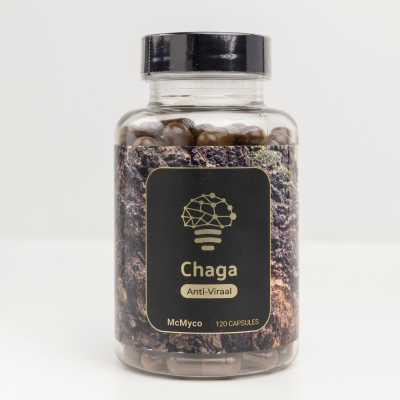 Chaga Mushrooms Supplement - The best powder extract capsules 